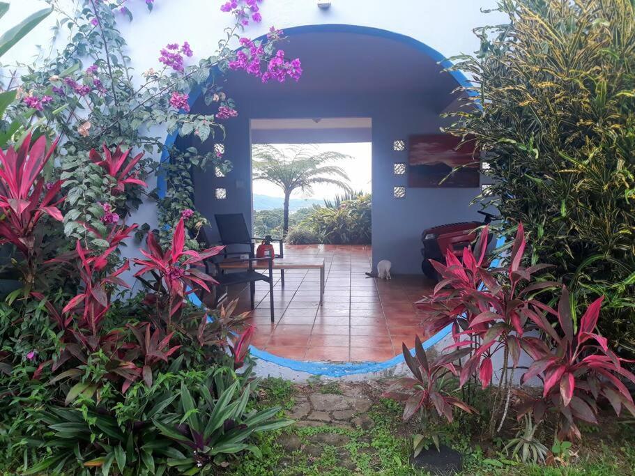 Swim & Paint Art Retreat Apartamento Las Piedras Exterior foto