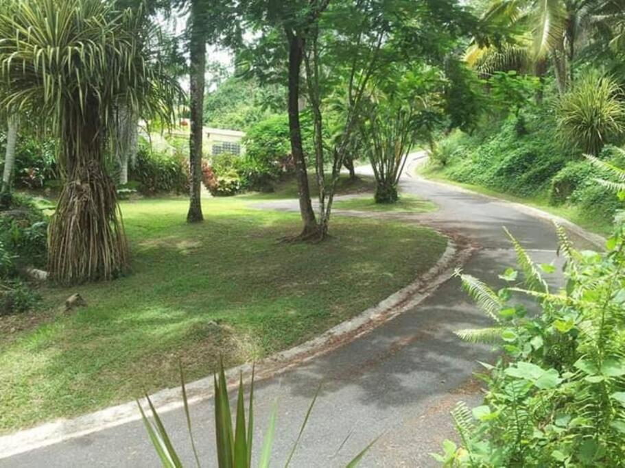 Swim & Paint Art Retreat Apartamento Las Piedras Exterior foto
