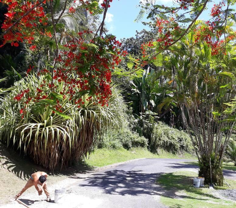 Swim & Paint Art Retreat Apartamento Las Piedras Exterior foto